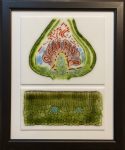 Raspberry bud and leaf x-sections (sold)