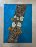 Lichens Liking 20" x 16"