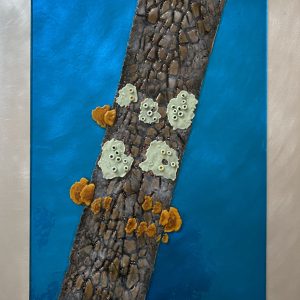 LIchens Liking (20 x 16)