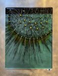 Dandelion 2 (sold)